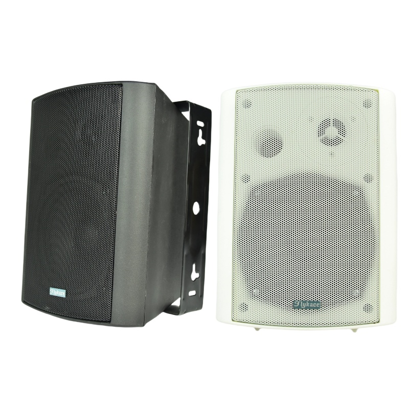 FT-106 40W壁挂音箱